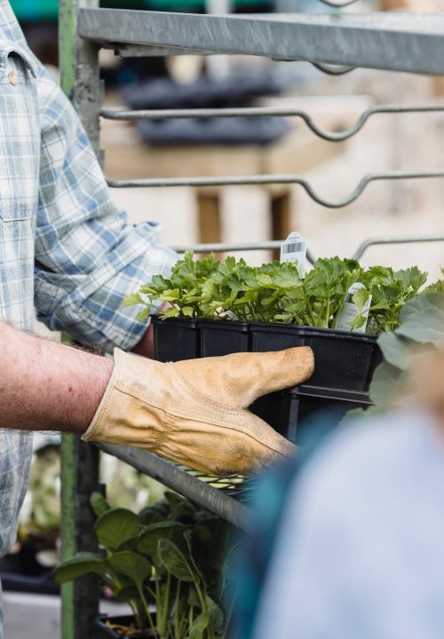 pexels-greta-hoffman-7728344